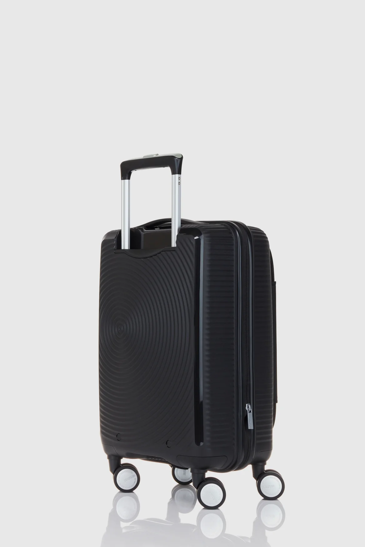 Curio Book 55cm Case - Image 5