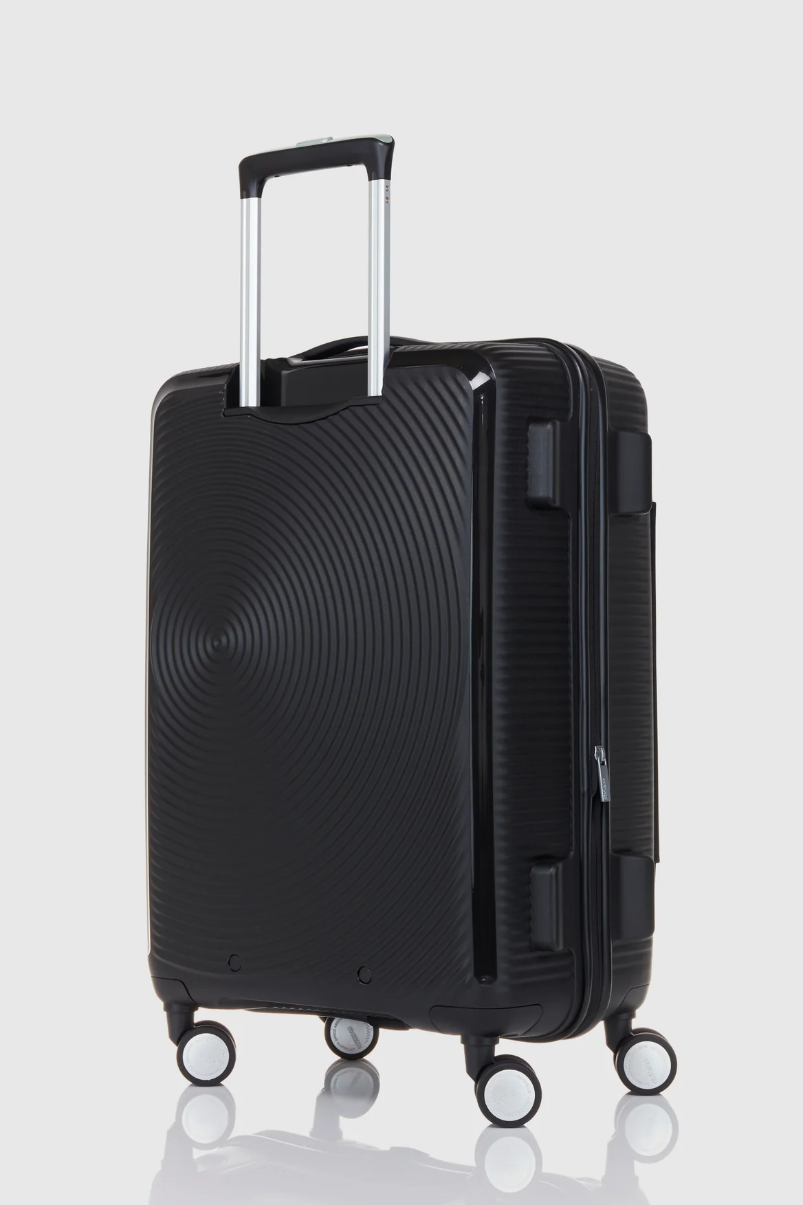 Curio Book 68cm Case - Image 5