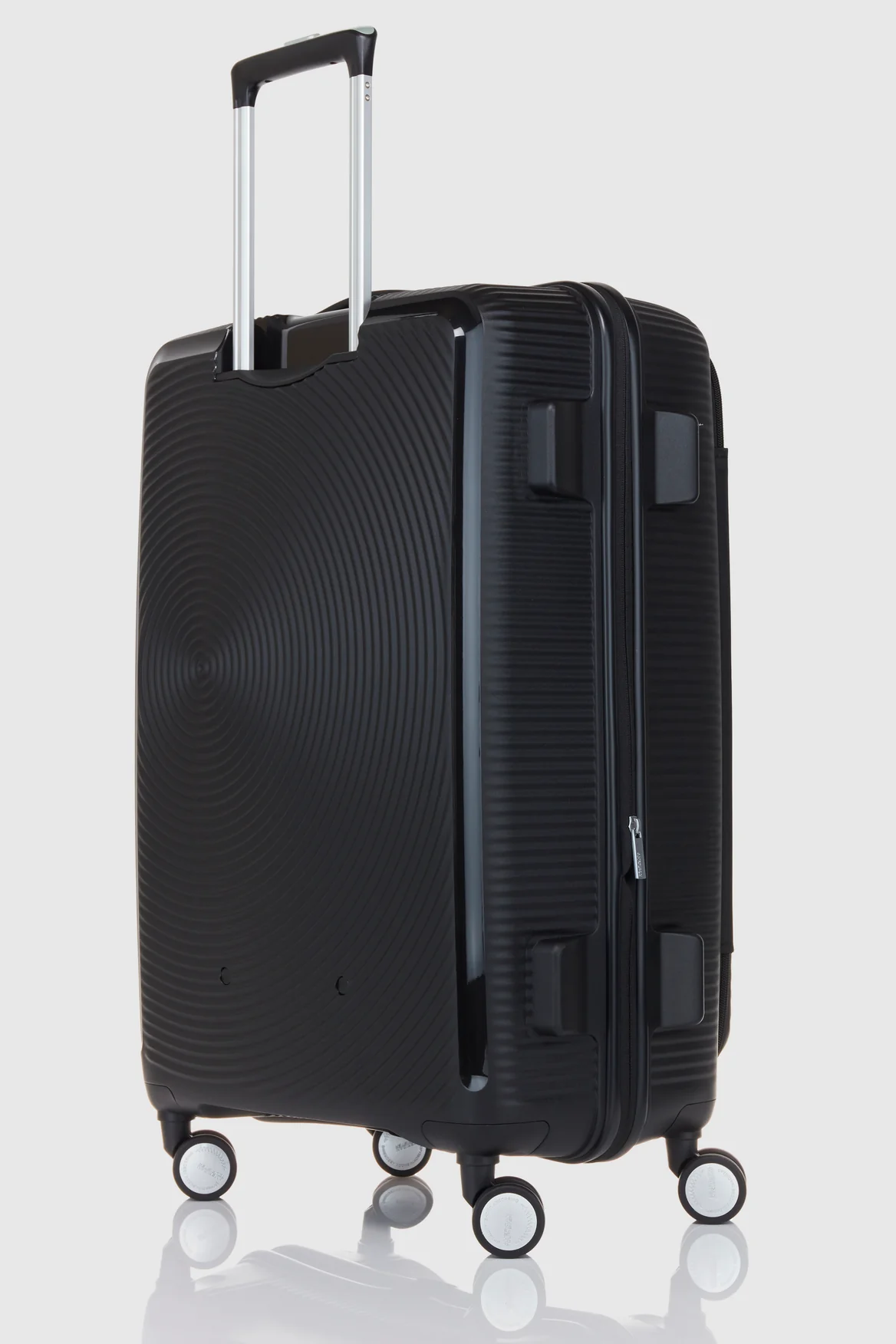 Curio Book 75cm Case - Image 5