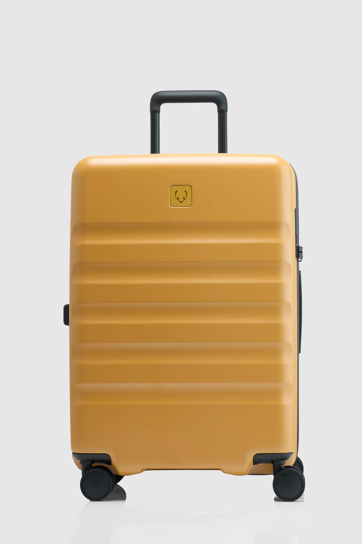 Icon Stripe 66cm Suitcase - Image 4