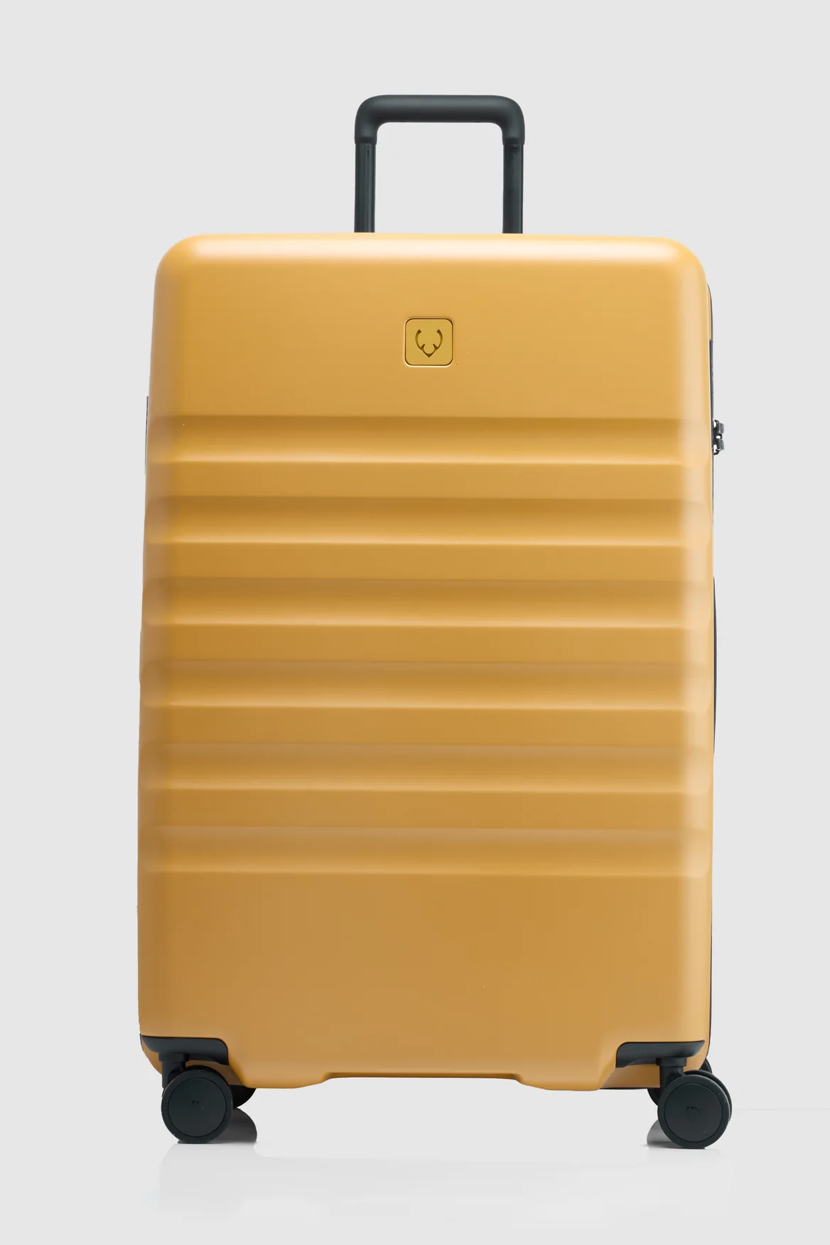 Icon Stripe 78cm Suitcase - Image 4