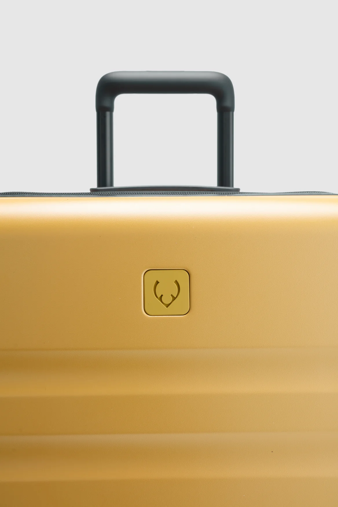 Icon Stripe 78cm Suitcase - Image 8